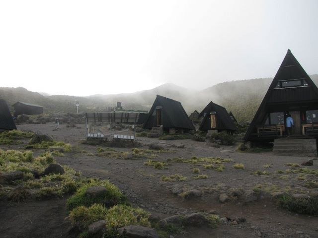 Africa 2009, photograph 45