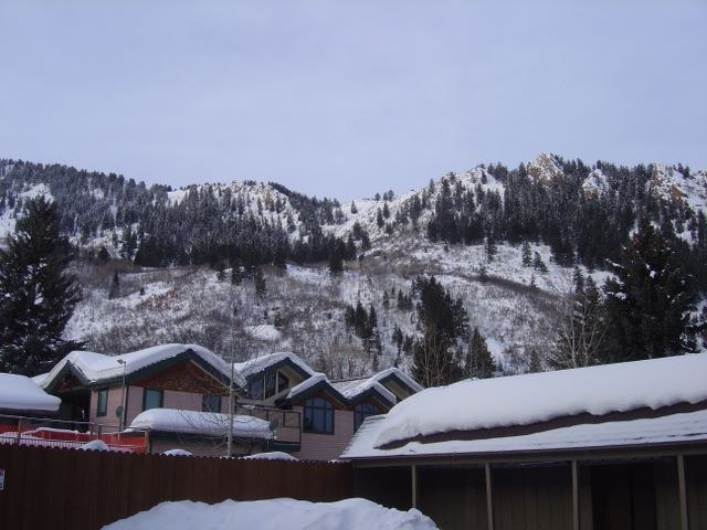 Aspen 2006, photograph 2