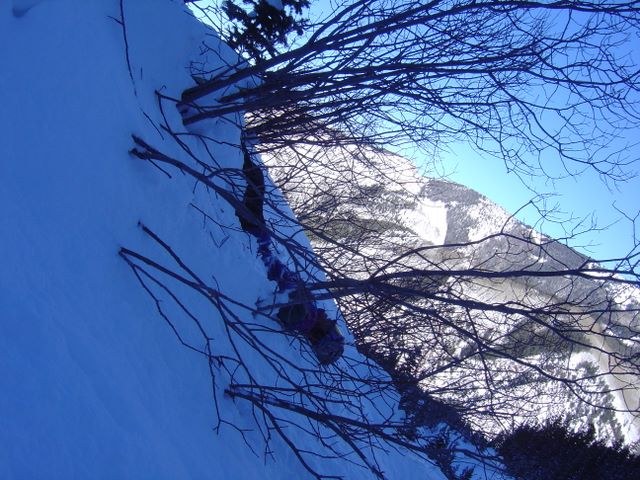 Aspen 2006, photograph 26