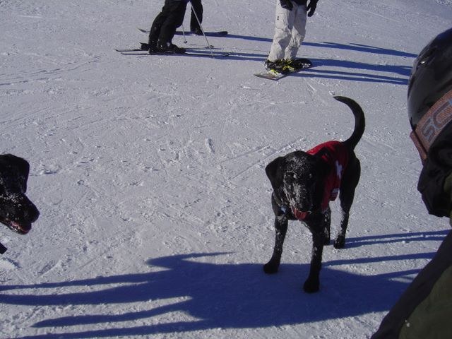 Aspen 2006, photograph 29