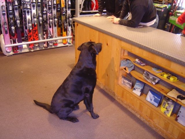 Aspen 2006, photograph 45