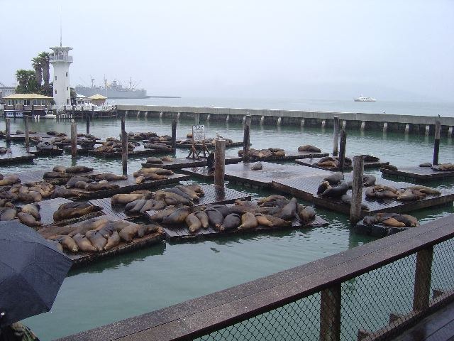 San Francisco 2003, photograph 5